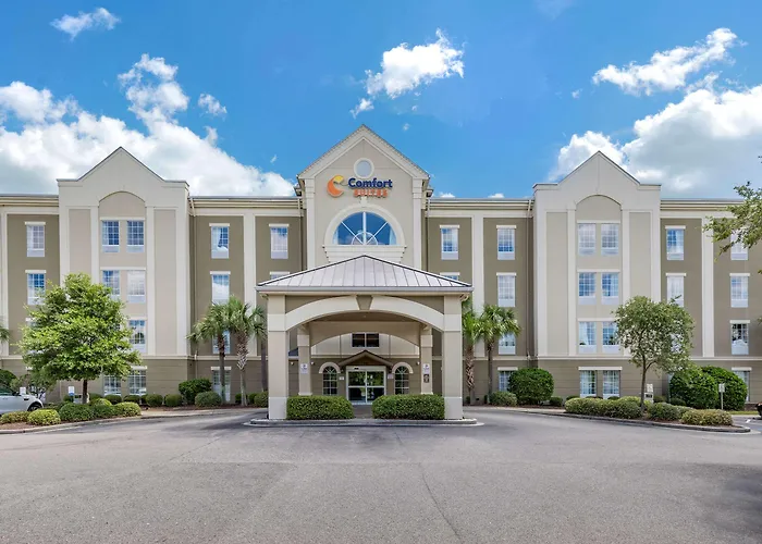 Your Ultimate Guide to Dog-Friendly Hotels in Myrtle Beach